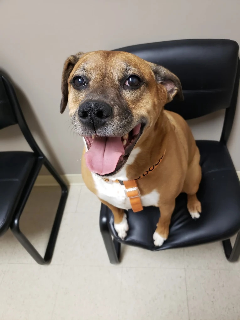 What to expect at your appointment